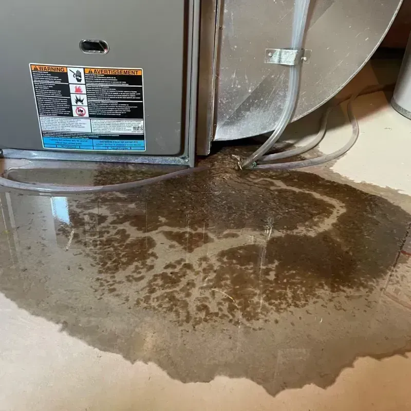 Appliance Leak Cleanup in Flagler County, FL